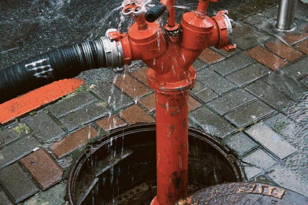 Commercial water damage restoration in Carson